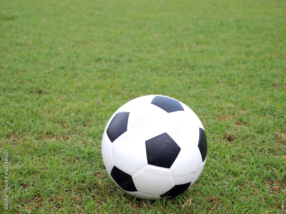 soccer ball on green grass soccer ball on green grass