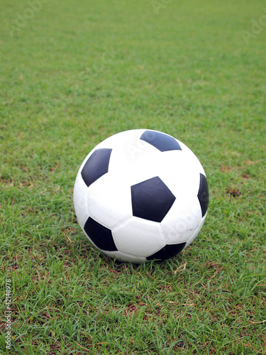 soccer ball on green grass © paisan191