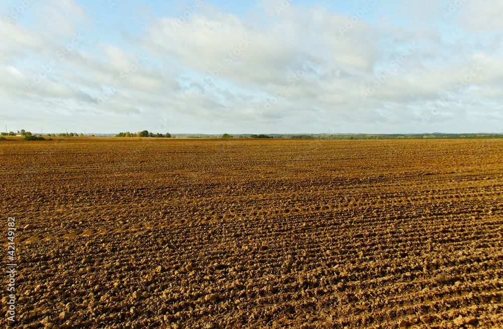 Country landscape.