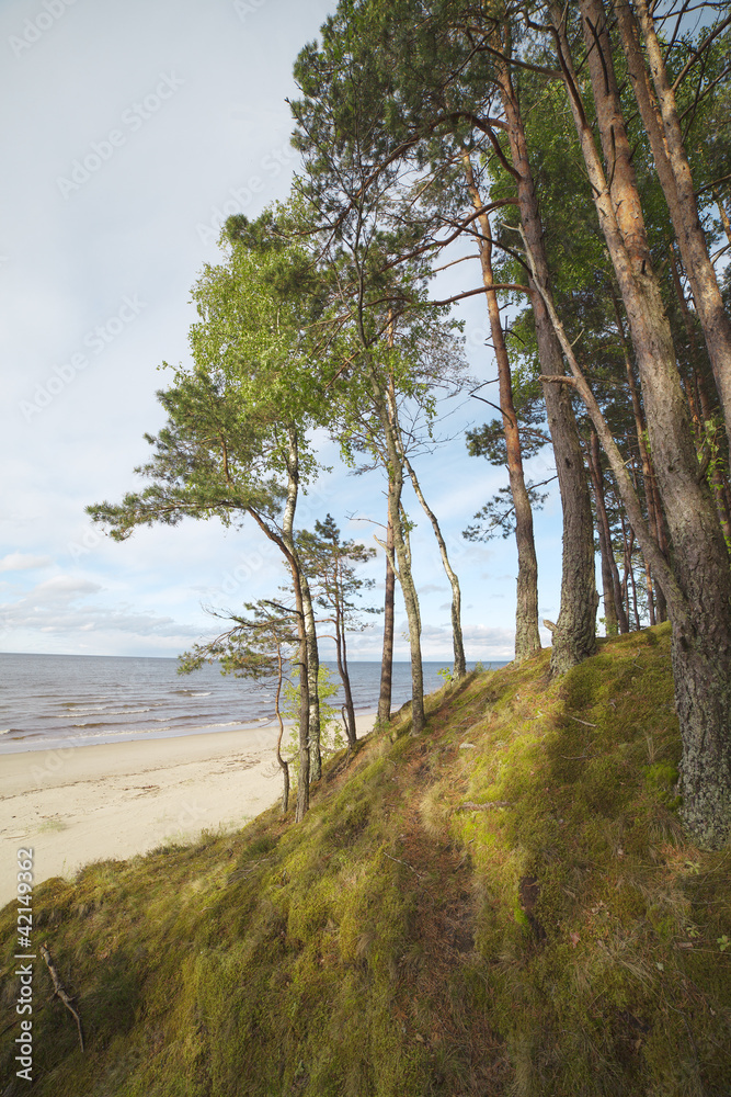 Fototapeta premium Baltic sea coast.