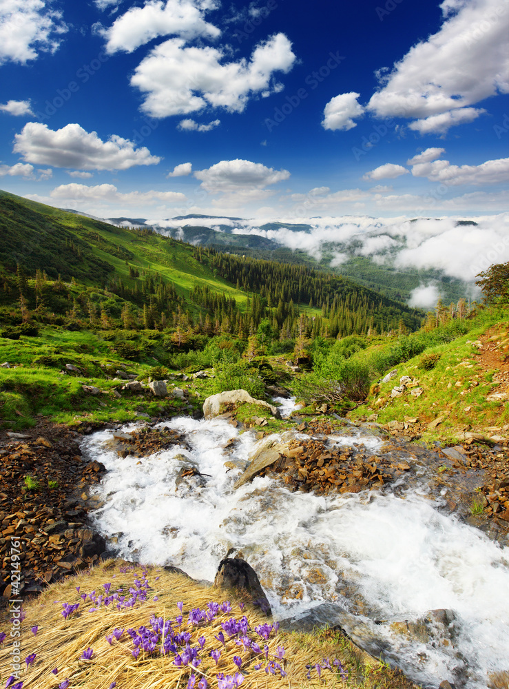 mountain landscape