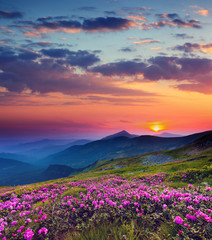 Fototapete Jahreszeiten Berglandschaft mit weiter Aussicht  © Leonid Tit