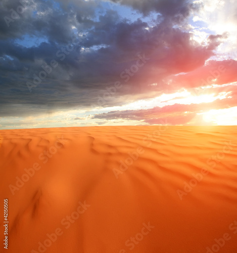 Fototapeta Naklejka Na Ścianę i Meble -  Desert at Dawn