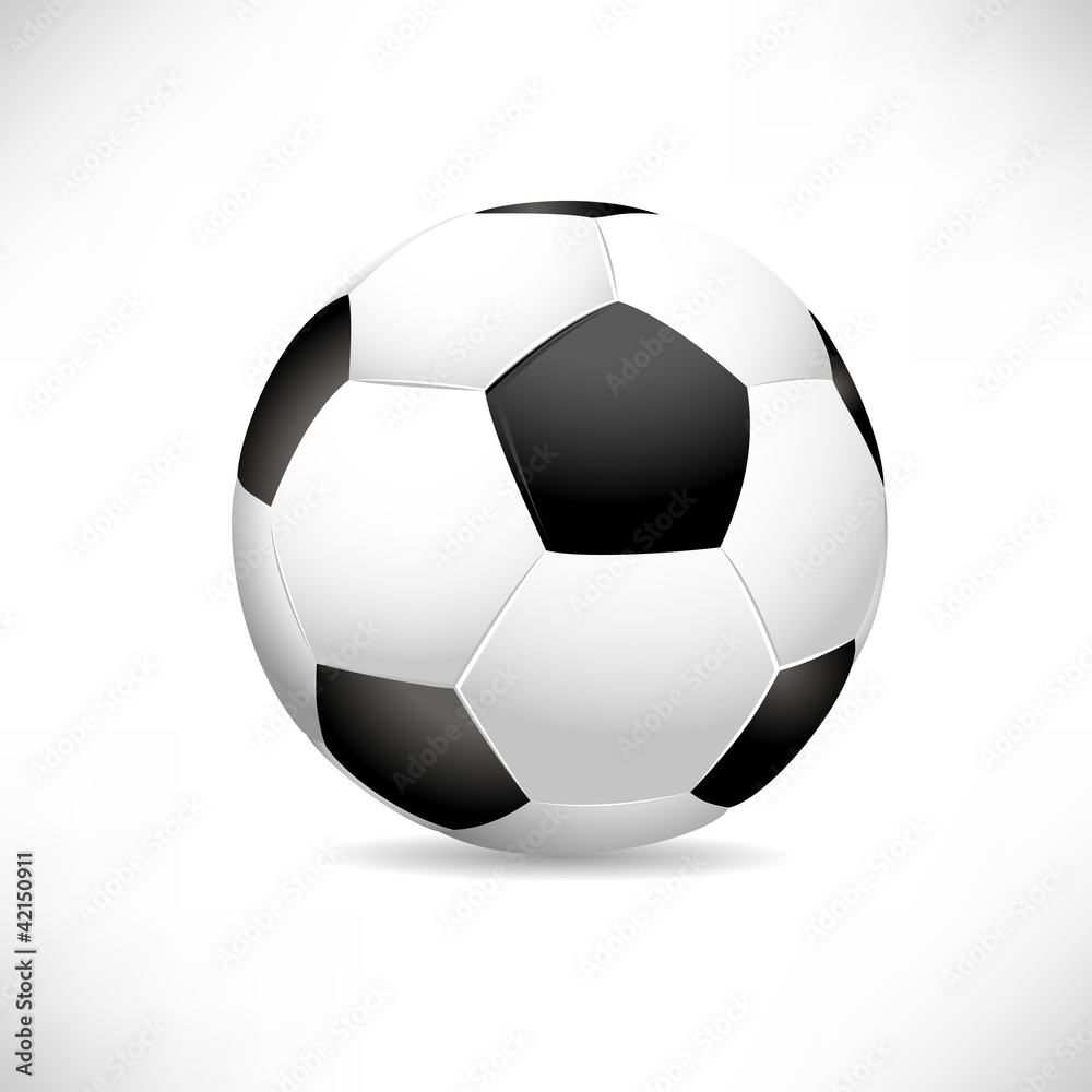 Fototapeta premium Soccer Ball