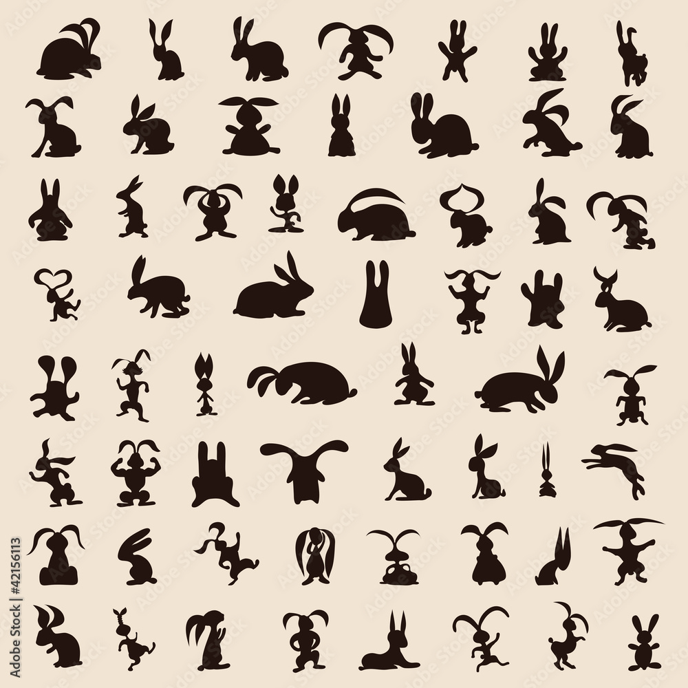 rabbit set rabbit set