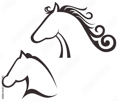 Silhouette black horse