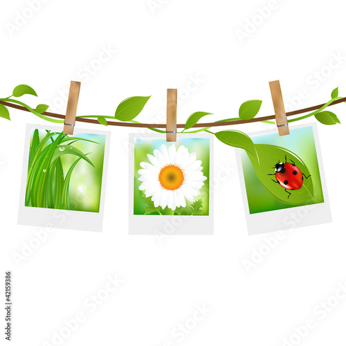 Summer Photos With Clothespins