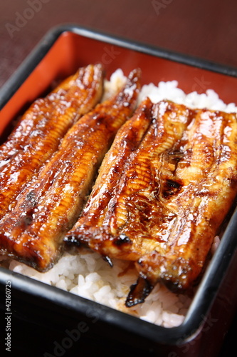 Broiled eels on rice