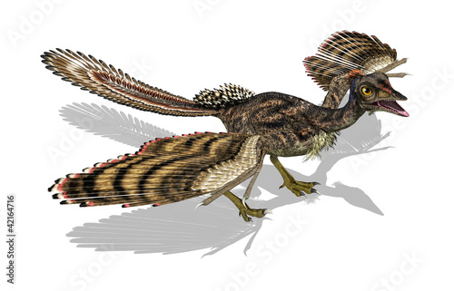 Archaeopteryx - Prehistoric Bird photo