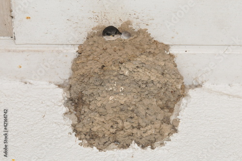 Ferien auf dem Bauernhof