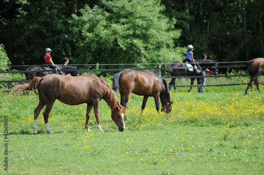 Ferien auf dem Bauernhof Ferien auf dem Bauernhof