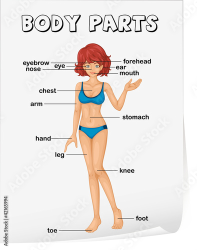 Vocabulary worksheet