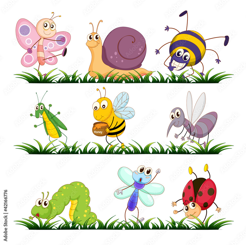 Fototapeta premium Bug series