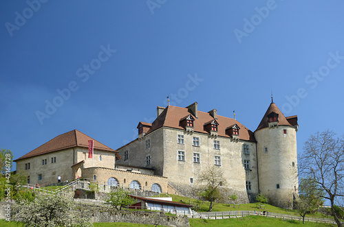 View on Gruyeres castle, Switzerland