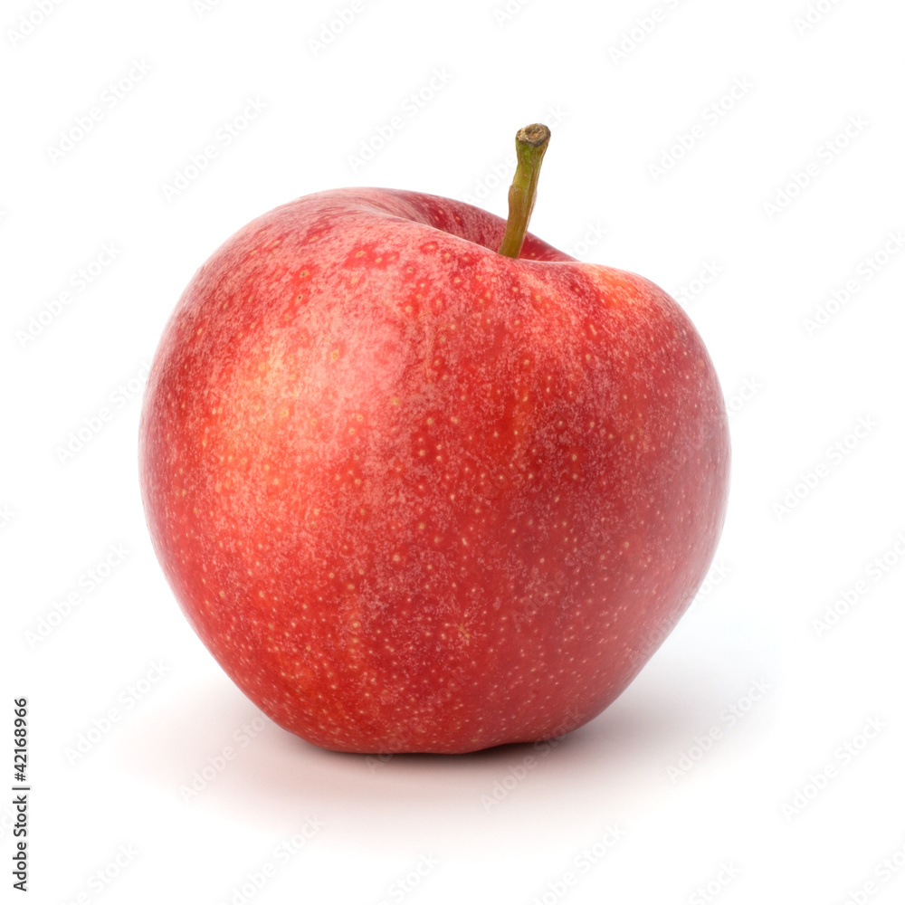 apple apple