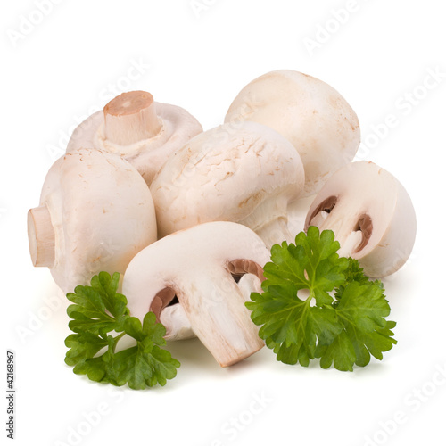 Champignon mushroom and fresh parsley