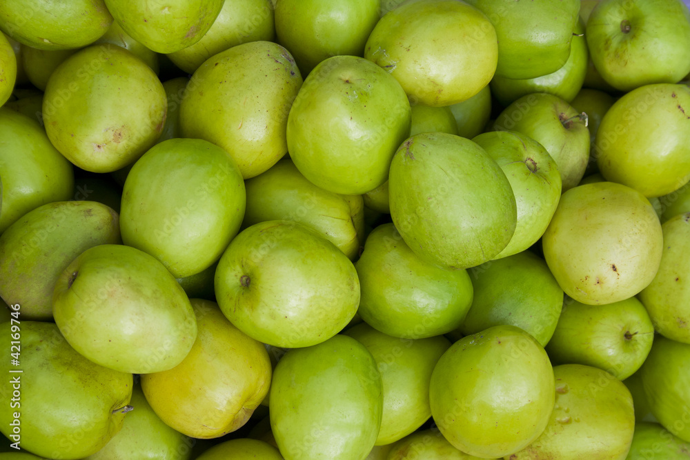 Ziziphus mauritiana(Jujube,Chinese Apple,Indian plum,permseret) Ziziphus mauritiana(Jujube,Chinese Apple,Indian plum,permseret)