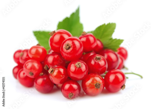 Sweet red currants