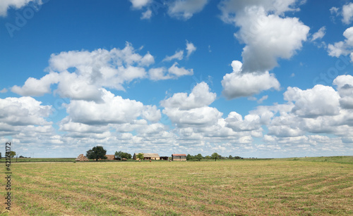 Photos Rural landscape, with cut clover at ground