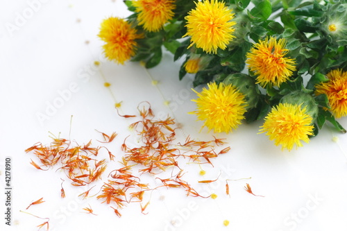 Valokuva Safflower(carthamus tinctorius)