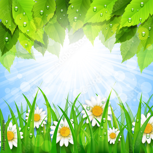 Background with green leaves and flowers