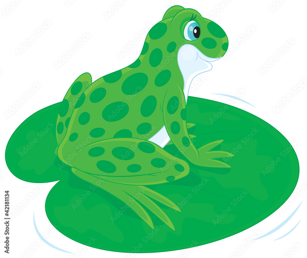 Fototapeta premium Green Frog