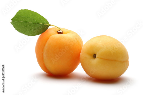 fresh apricot fruits