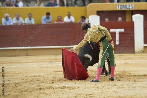 Torero toreando al toro con la muleta. photo