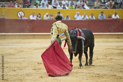 Torero preparando al toro para entrar a matar. photo