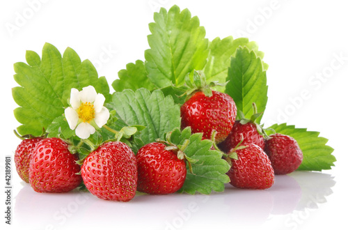 ripe strawberry with green leaves and flower isolated on white