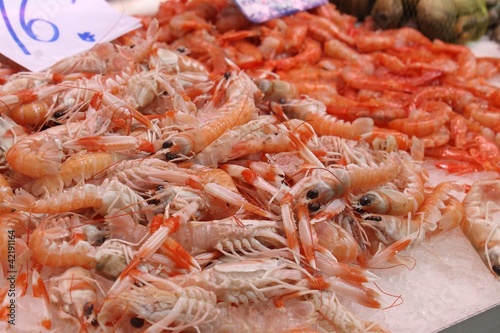 cicale di mare