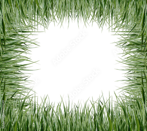 Background with green grass isolated on white