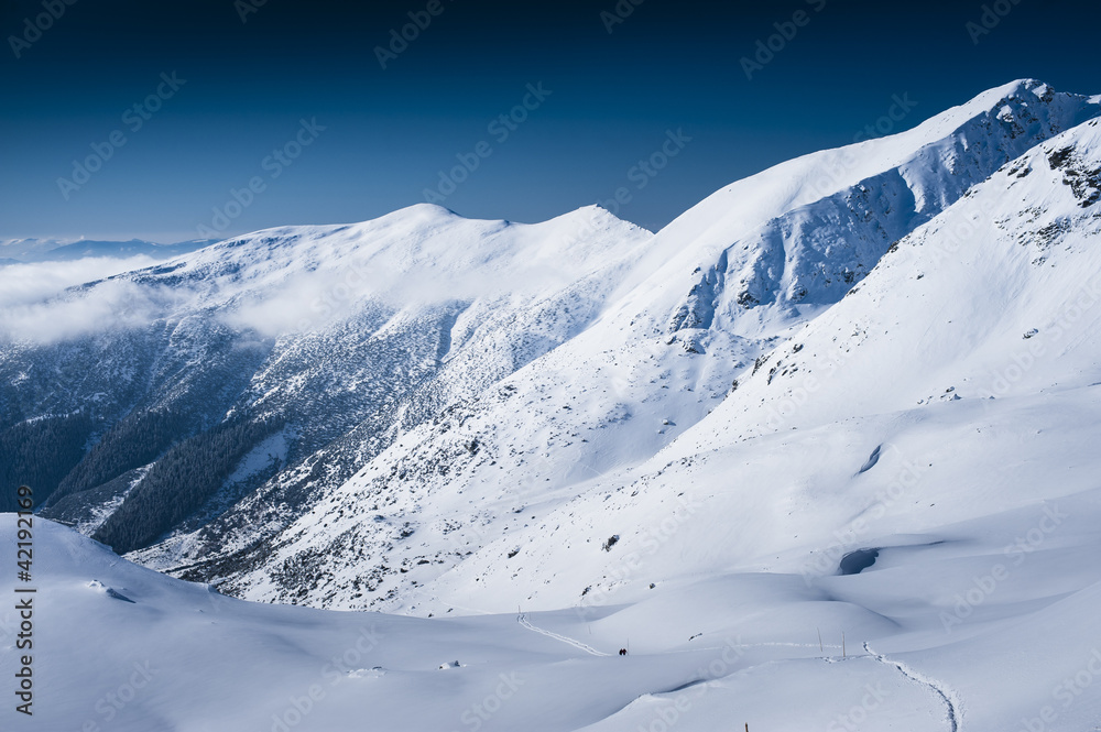 White blue winter scenery