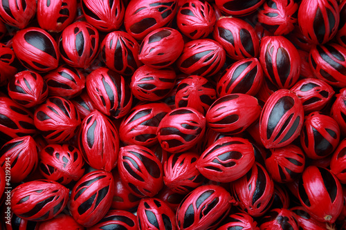 Fresh colorful nutmeg seeds photo