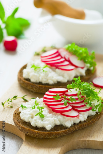 Radish sandwich with watercress salad