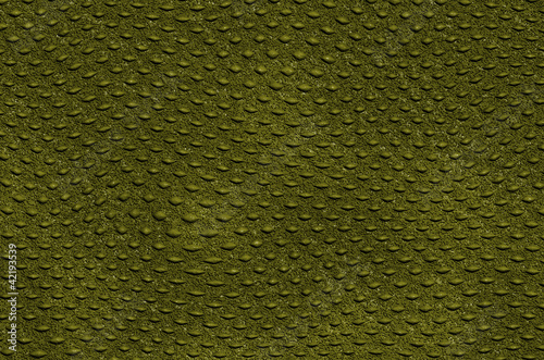 crocodile leather
