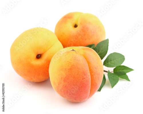 Ripe sweet apricots with leaves