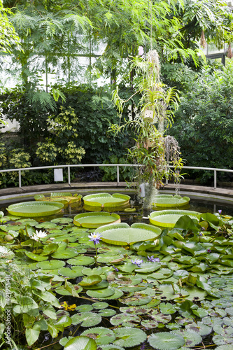 Photography Botanical Garden Na Slupi, Prague, Czech Republic