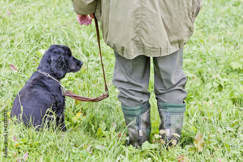 hunting dog with hunter