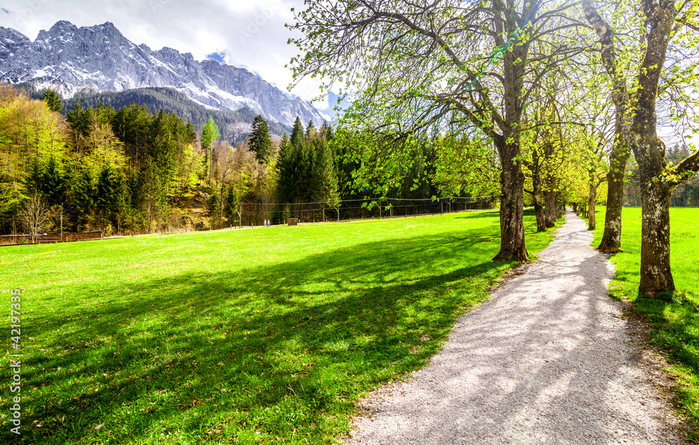 Alpine landscape with road on the green field