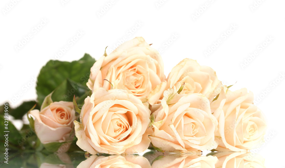 Bouquet of white roses isolated on white