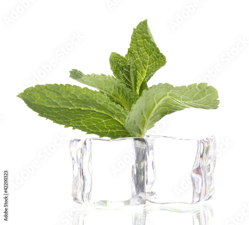 Fresh mint leaf and ice cubes isolated on white