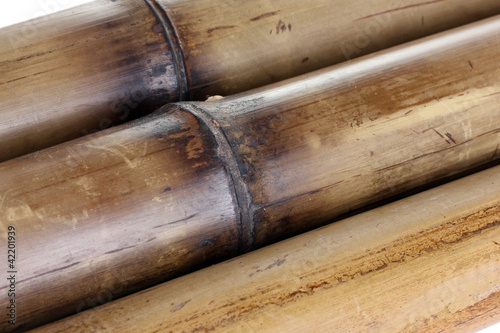 dry bamboo background