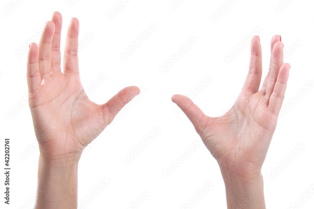 Hands Hands