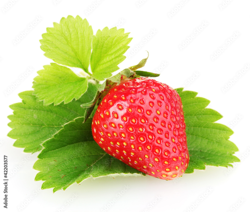 sweet ripe strawberries with leaves isolated on white sweet ripe strawberries with leaves isolated on white