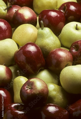 Mixed Apples and Bartlet Pears photo