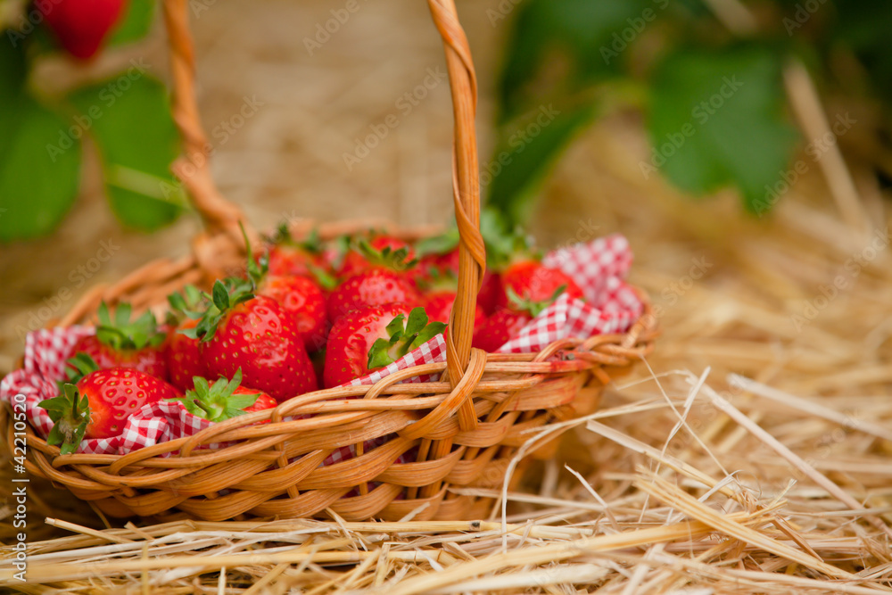Strawberries in a wicker basket Strawberries in a wicker basket