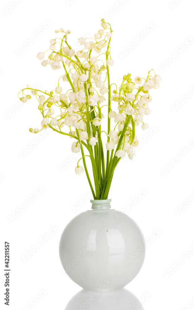 May-lilies in vase isolated on white May-lilies in vase isolated on white