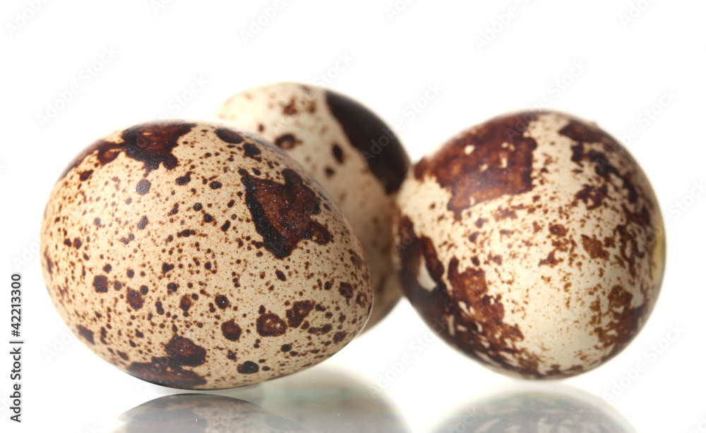 three quail eggs isilated on white three quail eggs isilated on white