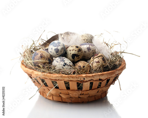 quail eggs in nest isolated on white
